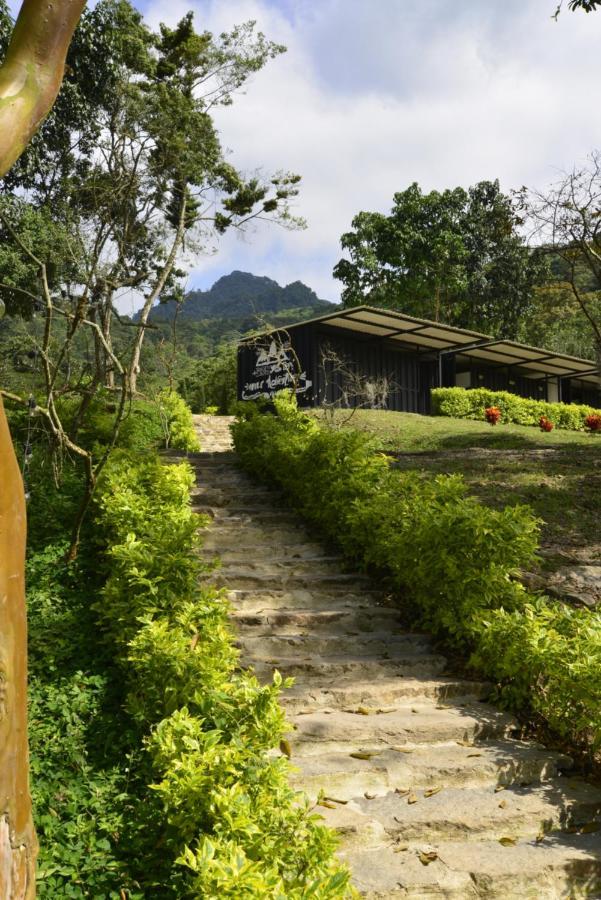 Bosque De Aventura & Glamping Refugio Del Bosque Hotel La Mesa  Luaran gambar